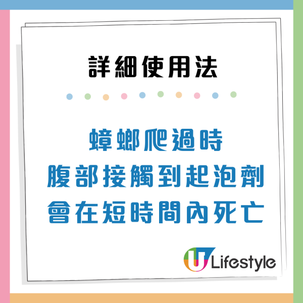 曱甴千祈唔好踩！日本專家揭滅蟲黃金時間表 中醫推2款神物令小強絕跡