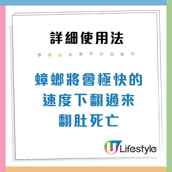 曱甴千祈唔好踩！日本專家揭滅蟲黃金時間表 中醫推2款神物令小強絕跡