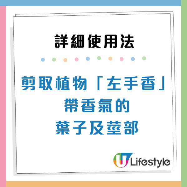 曱甴千祈唔好踩！日本專家揭滅蟲黃金時間表 中醫推2款神物令小強絕跡