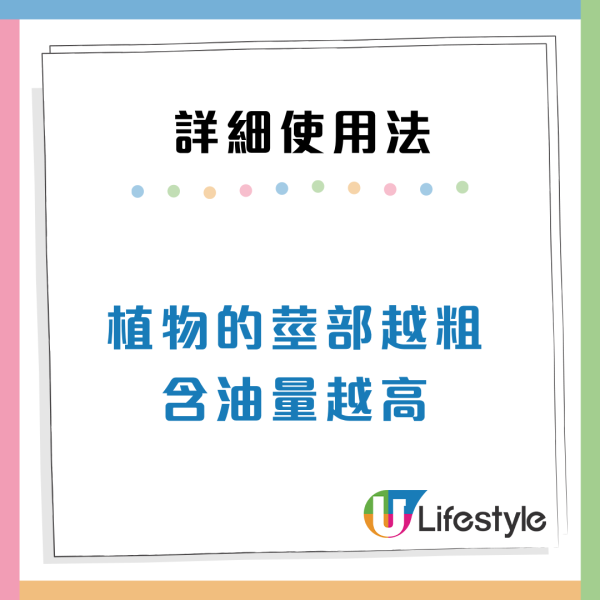 曱甴千祈唔好踩！日本專家揭滅蟲黃金時間表 中醫推2款神物令小強絕跡