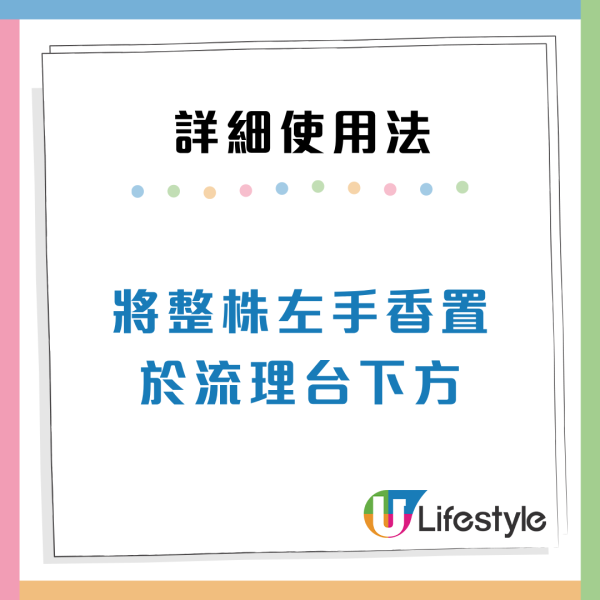 曱甴千祈唔好踩！日本專家揭滅蟲黃金時間表 中醫推2款神物令小強絕跡