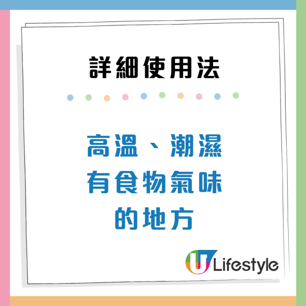 曱甴千祈唔好踩！日本專家揭滅蟲黃金時間表 中醫推2款神物令小強絕跡
