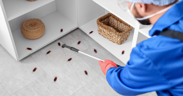 曱甴千祈唔好踩！日本專家揭滅蟲黃金時間表 中醫推2款神物令小強絕跡