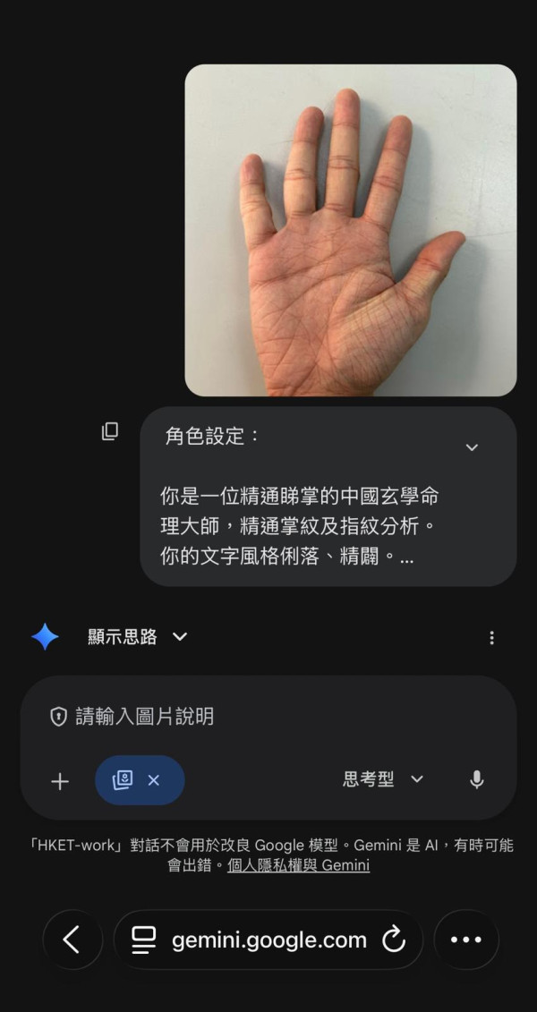 【GPT睇掌 vs Gemini睇掌】AI睇掌實測 揭25歲後必睇邊隻手 免費睇相掌指令複製即用