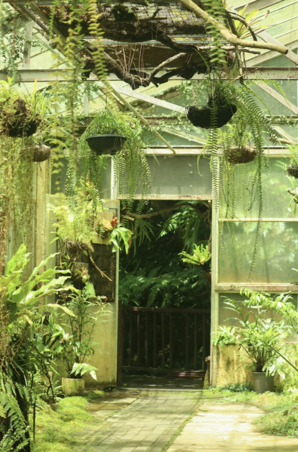 仙湖植物園(圖片來源:小紅書@sixllee) 深圳母親節景點10大推介!園林賞花、慢遊古城、歎復古下午茶