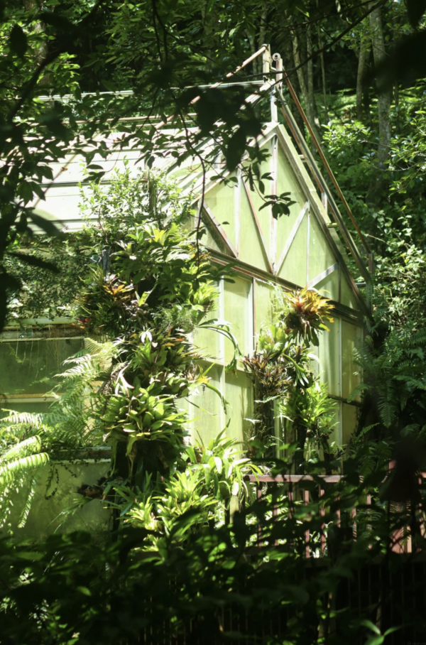 仙湖植物園(圖片來源:小紅書@sixllee) 深圳母親節景點10大推介!園林賞花、慢遊古城、歎復古下午茶