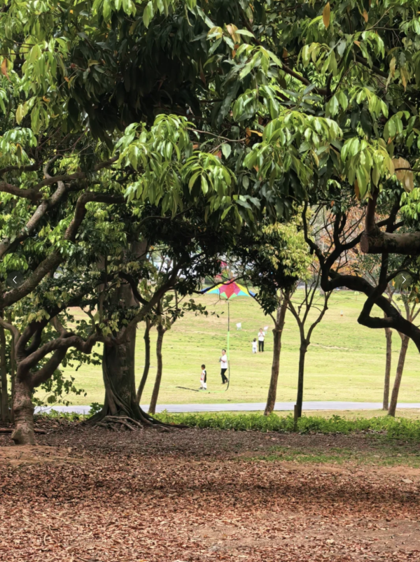 蓮花山公園(圖片來源:小紅書@是雪胖呀) 深圳母親節景點10大推介!園林賞花、慢遊古城、歎復古下午茶