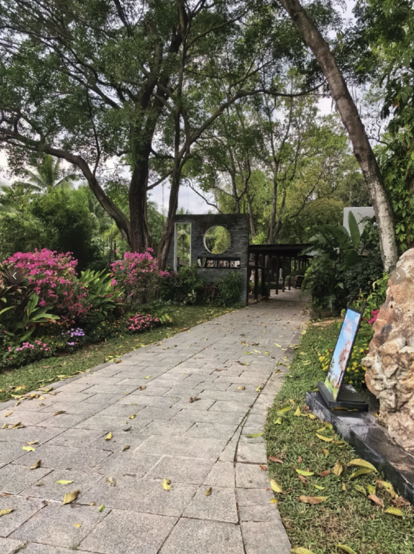 蓮花山公園(圖片來源:小紅書@是雪胖呀) 深圳母親節景點10大推介!園林賞花、慢遊古城、歎復古下午茶