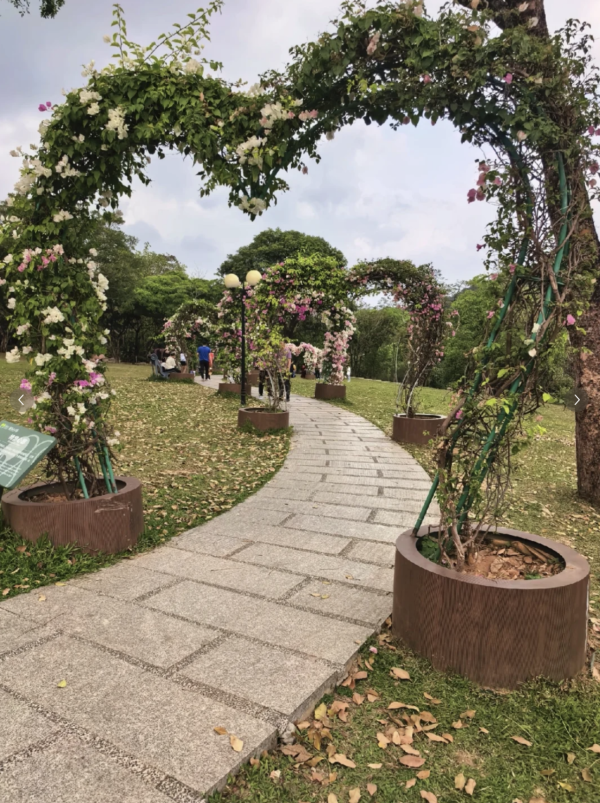 蓮花山公園(圖片來源:小紅書@是雪胖呀) 深圳母親節景點10大推介!園林賞花、慢遊古城、歎復古下午茶