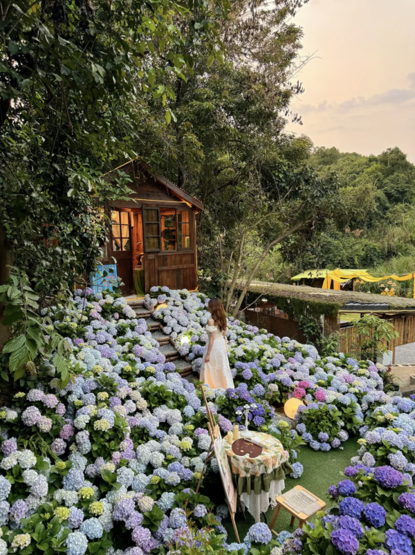 雲深不知處(圖片來源:小紅書@Luna Ocean) 深圳母親節景點10大推介!園林賞花、慢遊古城、歎復古下午茶