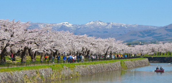 北海道春夏必賞8大絕美景點!朝聖浪漫芝櫻、薰衣草附交通地址