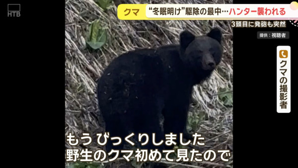今年首宗！北海道280公斤巨熊身中五槍不倒 襲擊69歲獵人致頭臉重創 