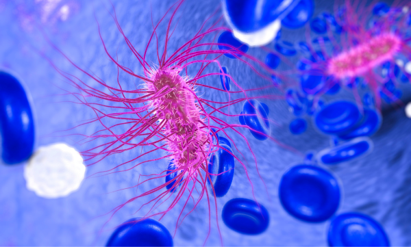 食安中心緊急公佈！沙田本地廠雪糕大腸菌超標10倍／食安勒令即時全數銷毀