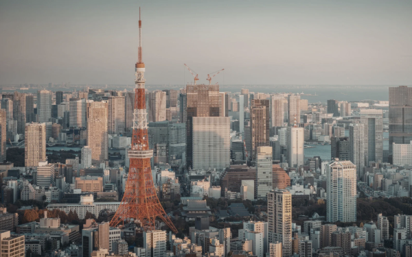 東京手信2026｜東京最強人氣手信10大推介！必買開心果夾心、鬱金香餅乾、焦糖流心脆批 