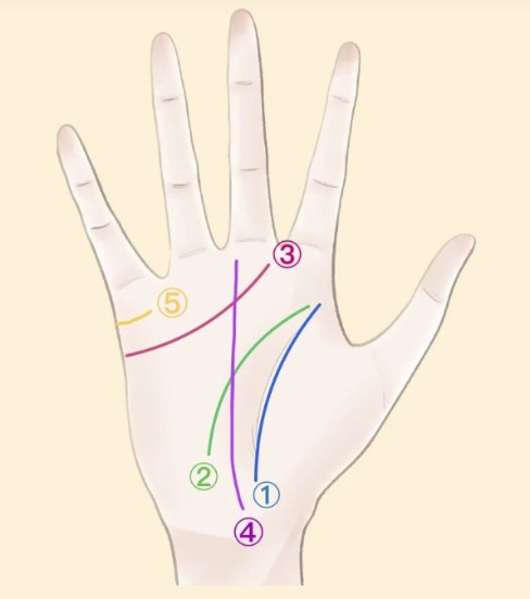 【GPT睇掌 vs Gemini睇掌】AI睇掌實測 揭25歲後必睇邊隻手 免費睇相掌指令複製即用