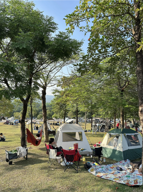 深圳石岩陌上花公園紫色馬鞭草花海盛放！附單車徑、露營區、兒童樂園親子必去 