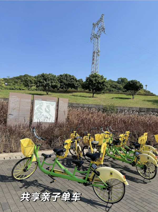 深圳石岩陌上花公園紫色馬鞭草花海盛放！附單車徑、露營區、兒童樂園親子必去 
