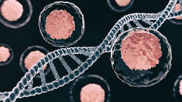 44歲女肚脹無胃口揭患罕見雙癌！醫生拆解4大隱形婦科警號  附檢查貼士