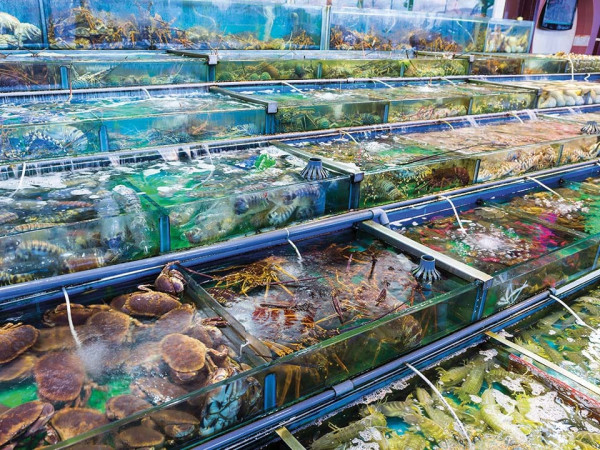 蒲台島全島唯一海鮮酒家傳5月底結業！開業約50年 店方最新回應揭反轉內幕