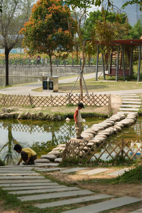 【深圳賞花地圖2026】深圳6大賞花景點推介 地鐵直達馬鞭草花海／仿荷蘭風車小鎮／夢幻繡球花展 