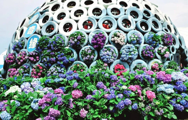 【深圳賞花地圖2026】深圳6大賞花景點推介 地鐵直達馬鞭草花海／仿荷蘭風車小鎮／夢幻繡球花展 