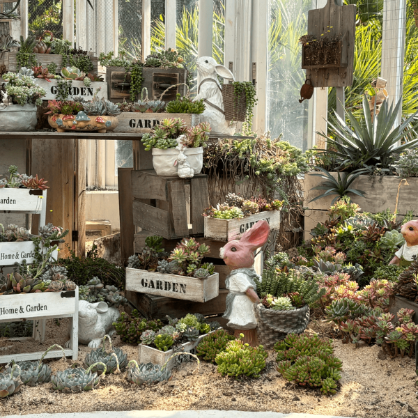 【深圳賞花地圖2026】深圳6大賞花景點推介 地鐵直達馬鞭草花海／仿荷蘭風車小鎮／夢幻繡球花展 