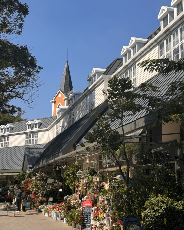 【深圳賞花地圖2026】深圳6大賞花景點推介 地鐵直達馬鞭草花海／仿荷蘭風車小鎮／夢幻繡球花展 