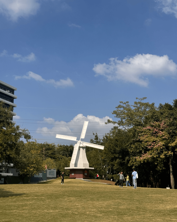 【深圳賞花地圖2026】深圳6大賞花景點推介 地鐵直達馬鞭草花海／仿荷蘭風車小鎮／夢幻繡球花展 