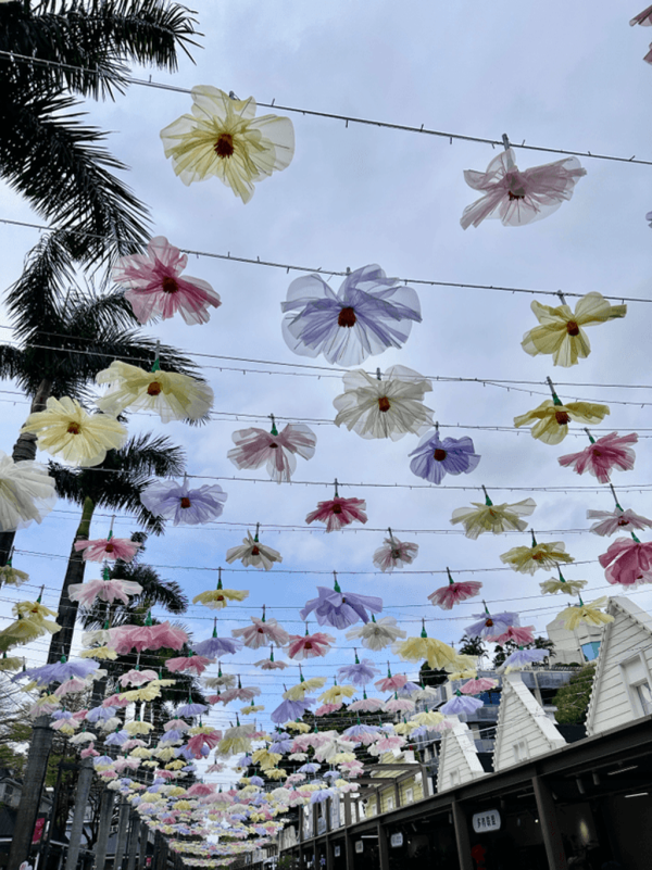 【深圳賞花地圖2026】深圳6大賞花景點推介 地鐵直達馬鞭草花海／仿荷蘭風車小鎮／夢幻繡球花展 