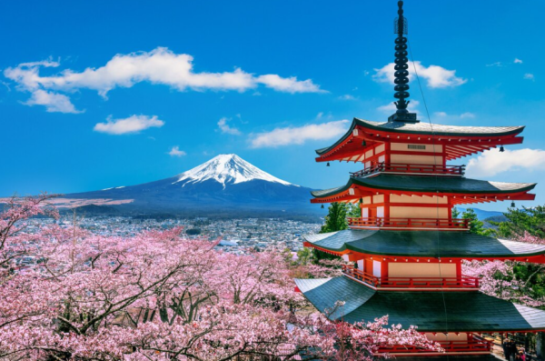 圖片來源：magnific