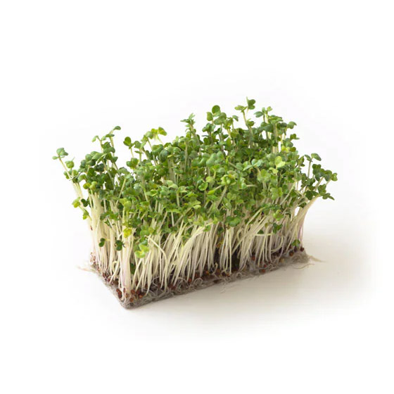 日日叫外賣男子體檢驚見塑化劑超標30倍！醫生揭4大致命飲食習慣 教食1種菜清走體內毒素