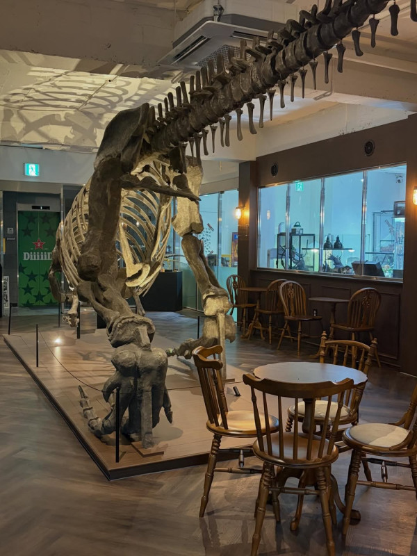 圖片來源：IG@rexpressomuseum
