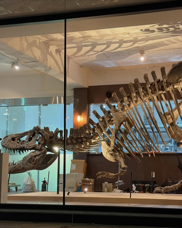 圖片來源：IG@rexpressomuseum