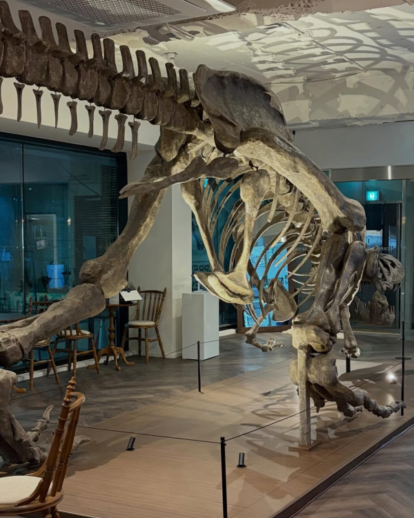 圖片來源：IG@rexpressomuseum