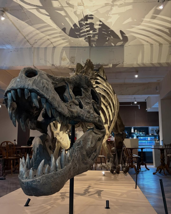 圖片來源：IG@rexpressomuseum