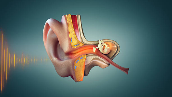 女子日日挖耳屎致「潰爛見骨」 確診患癌須切除左耳！醫生揭1致命動作/附正確清潔法