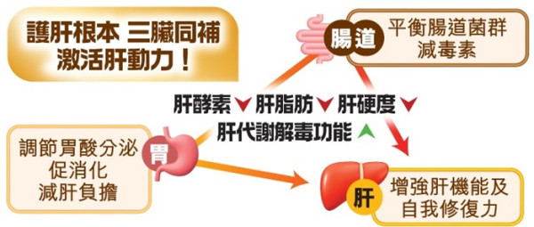 橫掃日本藥妝人氣榜！國民級護肝成分「肝臟水解物」! 必搶「和漢匠心日本護肝盾EX」萬寧限時優惠！