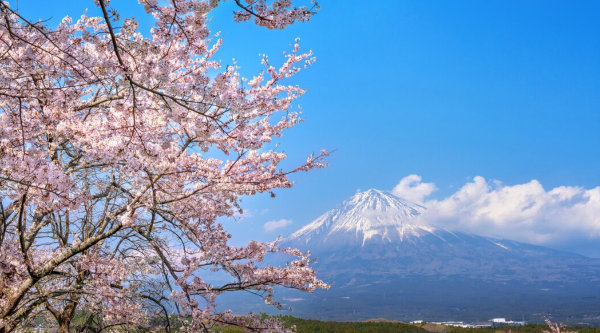 遊日注意｜日本春天溫差極大氣溫急降！體感溫度僅個位數 網民凍到震無厚褸買 