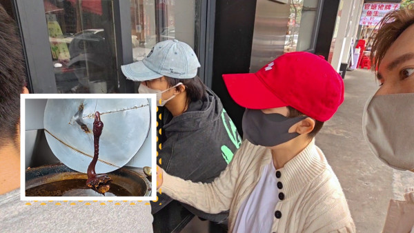 試真D｜江美儀試過千元獅頭鵝口感似花膠？挑戰水泥「土蝦」竟獲坤哥青睞