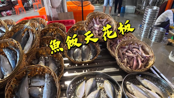 試真D｜吳業坤當眾問一條問題辣㷫江美儀 連環扯火炮轟：真係好失禮