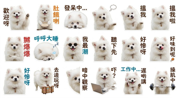 【Gemini/GPT 2 Sticker】AI三步自製專屬WhatsApp Sticker貼圖退地教學 附即抄即用指令