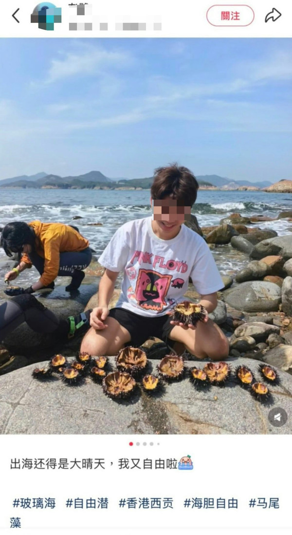 五一黃金周內地遊客西貢狂捕逾30隻海膽！小紅書曬海膽放題被批後回擊：漁護署說我合法