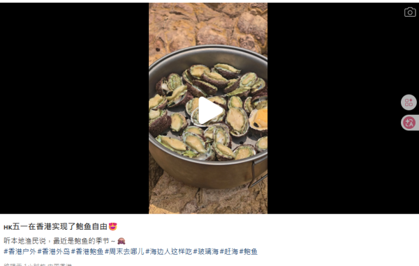 五一黃金周內地遊客西貢狂捕逾30隻海膽！小紅書曬海膽放題被批後回擊：漁護署說我合法