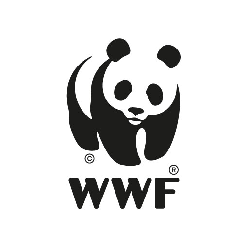 五一黃金周內地遊客西貢狂捕逾30隻海膽！小紅書曬海膽放題被批後回擊：漁護署說我合法