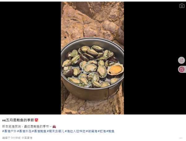 五一黃金周內地遊客西貢狂捕逾30隻海膽！小紅書曬海膽放題被批後回擊：漁護署說我合法
