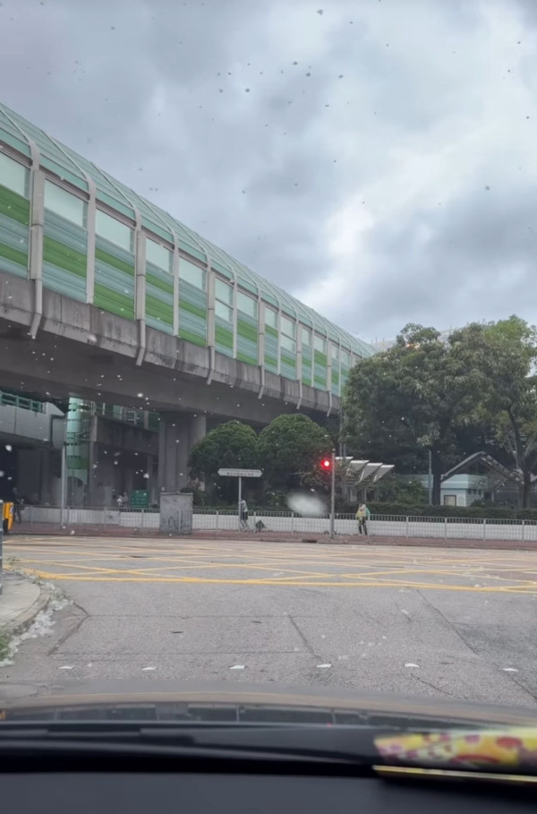  5月飛霜？全港多區驚現「末日暴雪」奇景 網民崩潰：見到就驚