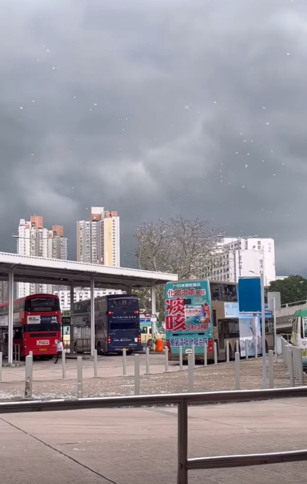  5月飛霜？全港多區驚現「末日暴雪」奇景 網民崩潰：見到就驚