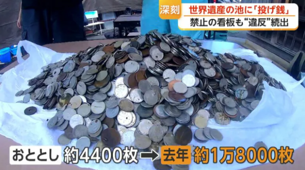 圖片來源:FNN 圖片來源:FNN