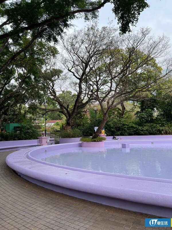 九龍公園噴水池變影后同款！遊客蜂擁朝聖 街坊嘆：住幾十年唔知影乜