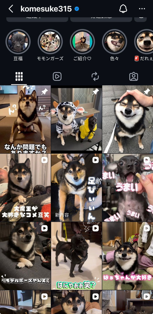 【Gemini/GPT 2 IG立體九宮格】女神萌寵相片3D飛出螢幕！3步速成IG破框圖指令即抄即用